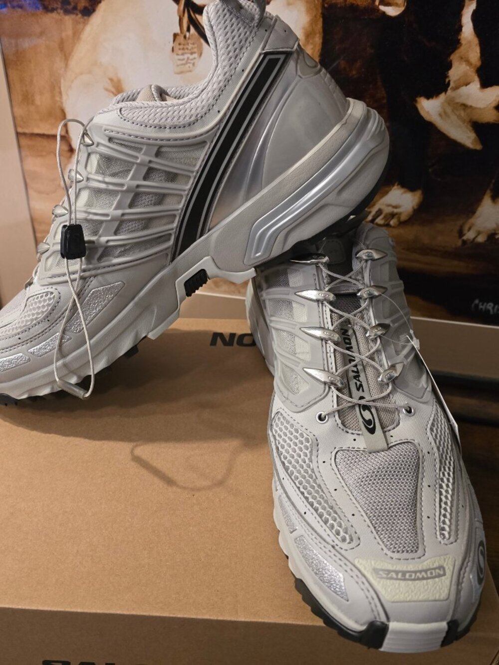 Salomon ACS Pro Metal Ghost Gray Silver Metallic L47299100 Hiking Trail Mens 13
